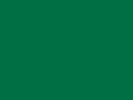 RAL 6005  