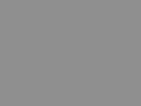 RAL 9007   